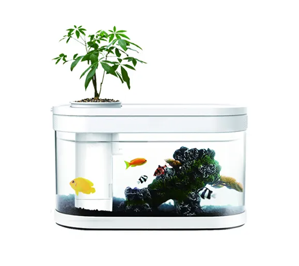 Fish Tank Thermomètre - Thermomètre Aquarium Rwanda