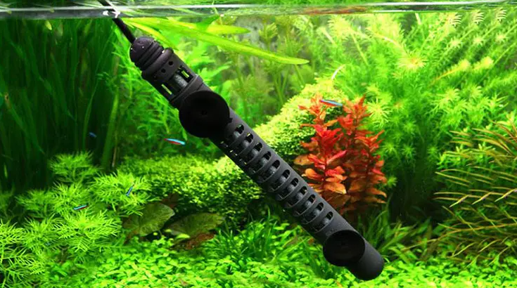 Cautions: Must Know Before Using a Aquarium Heater