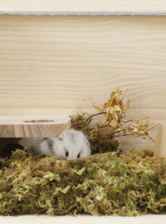 Wooden Hamster Cage Natural Hamster Habitat-Kaiyopop