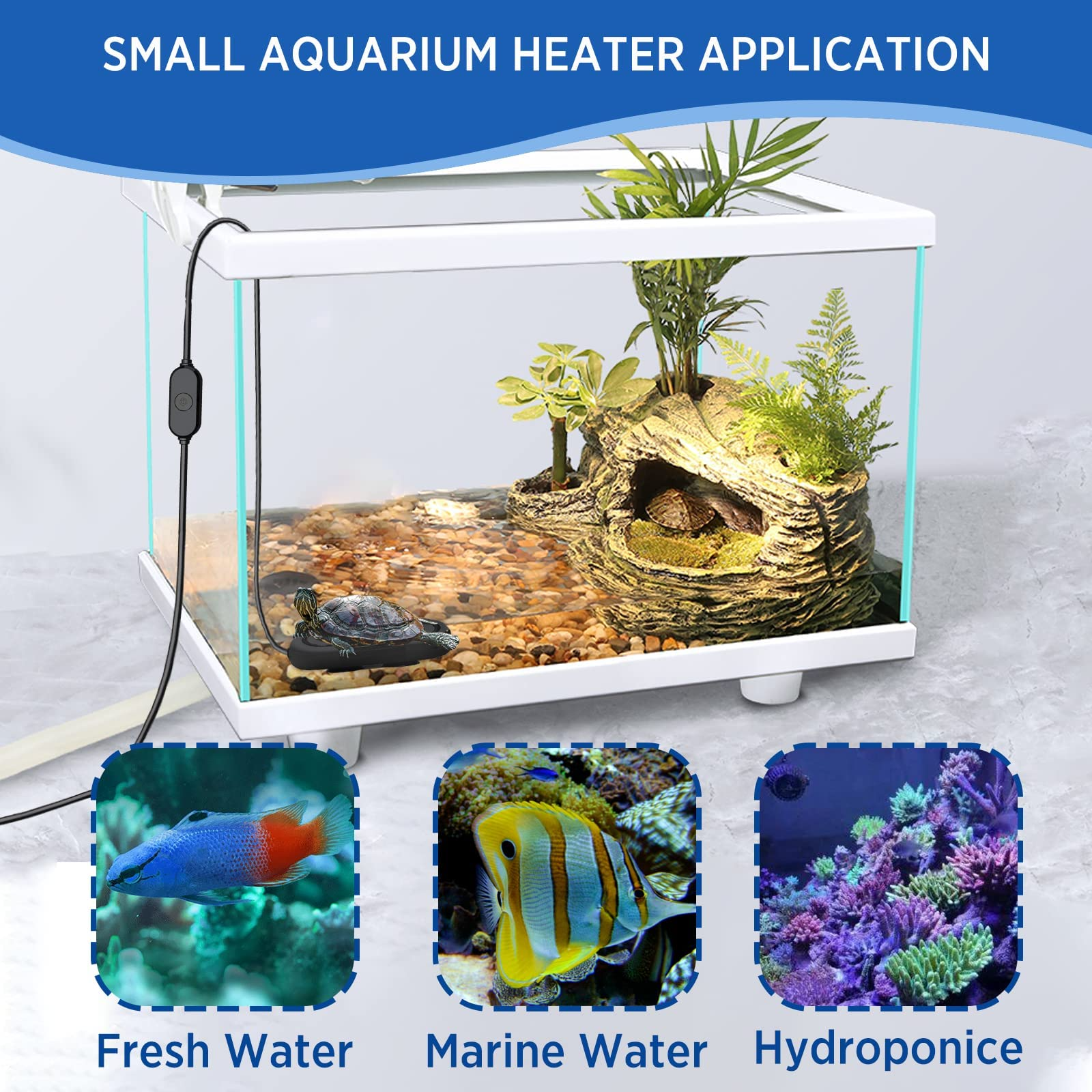 Fish Tank with Small Aquarium Heater
